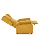 Armchair AGUSTIN 2 mustard order